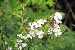 03_K1024_IMG_9380.1