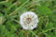 03_K1024_IMG_9528.1