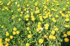 03_K1600_IMG_8975.1