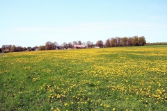05_K1600_IMG_8942.1