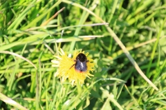17_K1600_IMG_9015.1