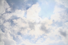19_K1024_IMG_9418.1