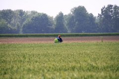 26_K1024_IMG_9433.1