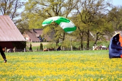 29_K1024_IMG_9116.1
