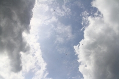 29_K1024_IMG_9246.1