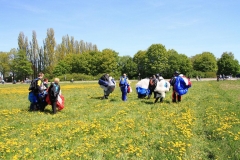30_K1024_IMG_9119.1
