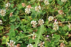 01_K1024_IMG_7617.1