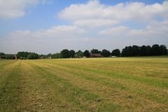 06_K1024_IMG_5865.1