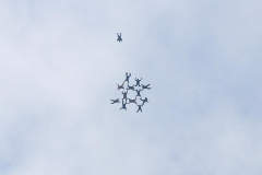 K1024_IMG_4217.1.1