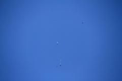 K1024_IMG_0645.1