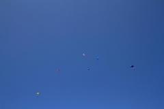 K1024_IMG_5876.1
