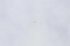 K1024_IMG_6032.1.1