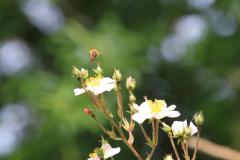 K1024_IMG_6074.1