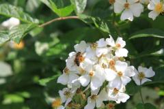 K1024_IMG_1144.1