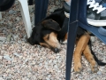 2012_07_06_05.jpg
