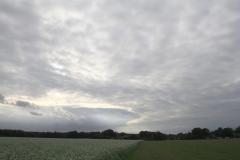 K1024_IMG_9216.1