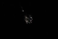 K1024_IMG_9287.1