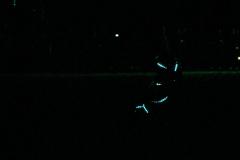 K1024_IMG_9292.1