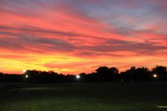 K1024_IMG_9337.1