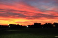 K1024_IMG_9338.1