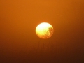 2009_11_08_1.jpg
