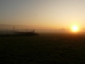 2009_11_08_2.jpg
