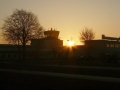 2009_11_08_3.jpg