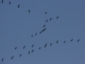 2010_11_28_04.jpg