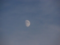 2011_11_05_22.jpg