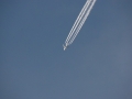 2011_11_05_23.jpg