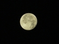2011_11_06_21.jpg