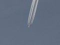 2011_11_19_37.jpg