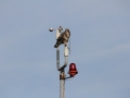 2012_11_17_02.jpg