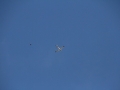 2013_11_30_06.jpg