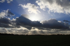 K1024_IMG_6118.1