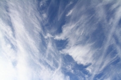 08_K1024_IMG_5322.1