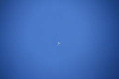 10_K1024_IMG_5449.1