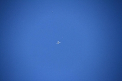 11_K1024_IMG_5450.1