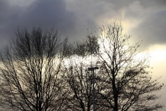 28_K1024_IMG_5486.1