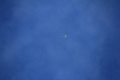 K1024_IMG_1766.1