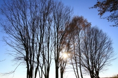 K1024_IMG_1814.1