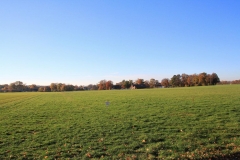 K1024_IMG_1815.1