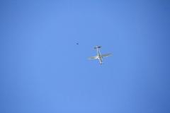 K1024_IMG_9130.1