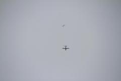 K1024_IMG_9467.1