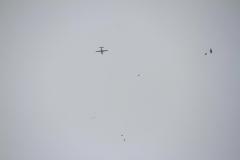 K1024_IMG_9468.1