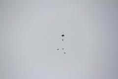 K1024_IMG_9469.1