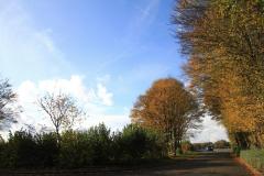 K1024_IMG_9061.1