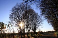 K1024_IMG_9117.1