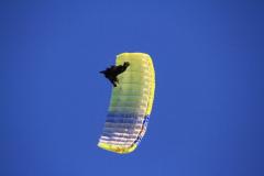 K1024_IMG_9126.1