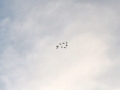 2011_10_30_38.jpg